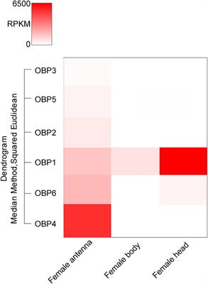 Olfactory Reception of Host Alarm Pheromone Component by the Odorant-Binding Proteins in the Samurai Wasp, Trissolcus japonicus (Hymenoptera: Scelionidae)